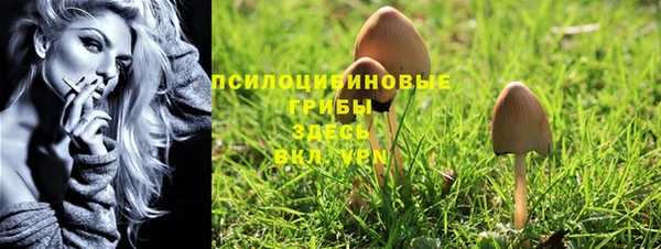 PSILOCYBIN Остров